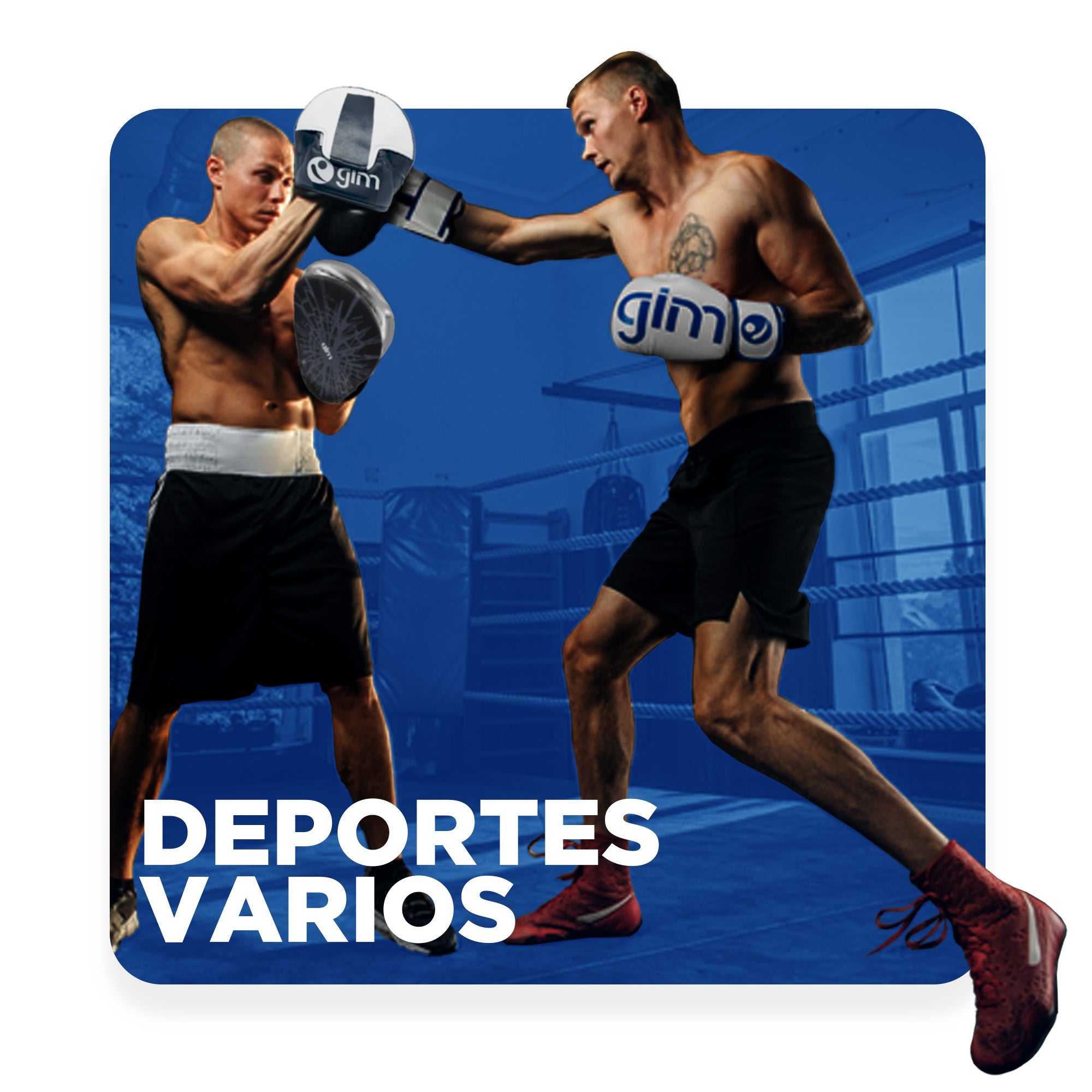 DEPORTES VARIOS